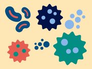 diseases