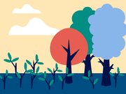 trees